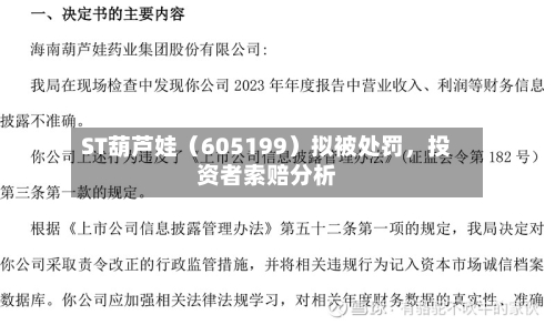 ST葫芦娃（605199）拟被处罚	，投资者索赔分析-第2张图片