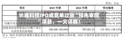 长鑫科技IPO成首单过会“预先审阅”项目，一文详解！