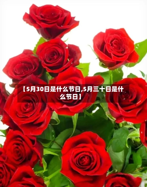 【5月30日是什么节日,5月三十日是什么节日】-第2张图片