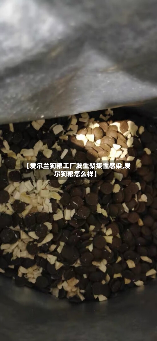 【爱尔兰狗粮工厂发生聚集性感染,爱尔狗粮怎么样】