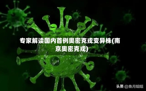 专家解读国内首例奥密克戎变异株(南京奥密克戎)