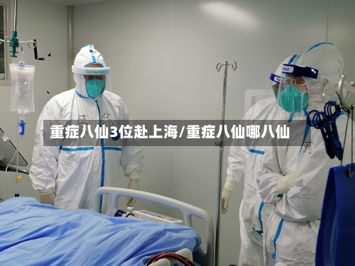 重症八仙3位赴上海/重症八仙哪八仙-第3张图片