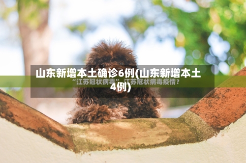 山东新增本土确诊6例(山东新增本土4例)