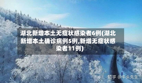 湖北新增本土无症状感染者6例(湖北新增本土确诊病例5例,新增无症状感染者11例)