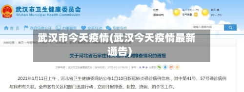 武汉市今天疫情(武汉今天疫情最新通告)-第2张图片