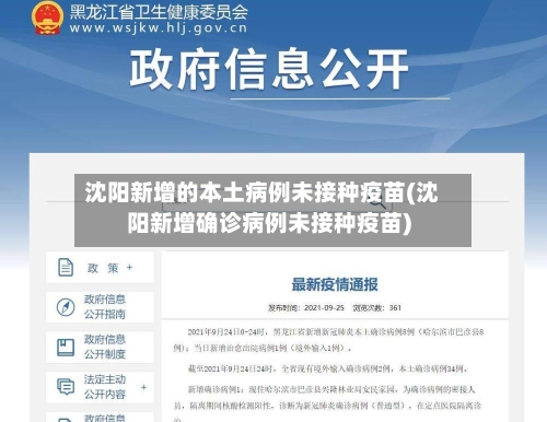 沈阳新增的本土病例未接种疫苗(沈阳新增确诊病例未接种疫苗)-第2张图片