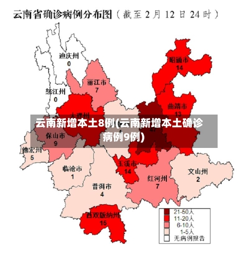 云南新增本土8例(云南新增本土确诊 病例9例)-第2张图片