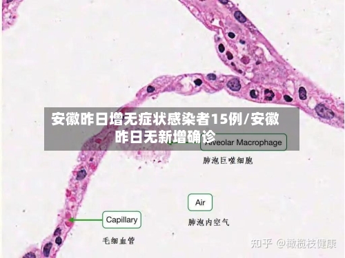 安徽昨日增无症状感染者15例/安徽昨日无新增确诊