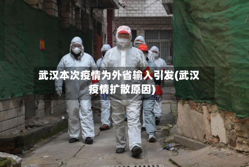 武汉本次疫情为外省输入引发(武汉疫情扩散原因)-第2张图片