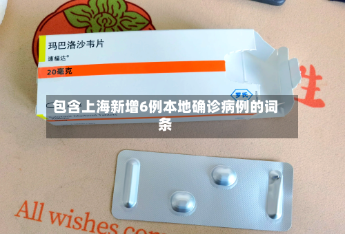 包含上海新增6例本地确诊病例的词条