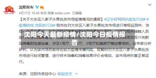 沈阳今天最新疫情/沈阳今日疫情报告-第3张图片