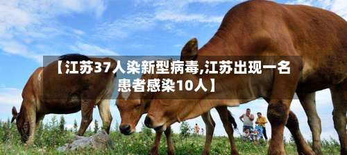 【江苏37人染新型病毒,江苏出现一名患者感染10人】-第2张图片