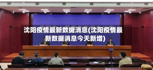 沈阳疫情最新数据消息(沈阳疫情最新数据消息今天新增)-第2张图片