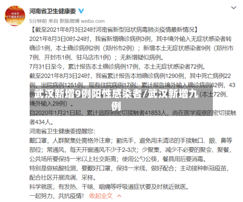 武汉新增9例阳性感染者/武汉新增九例
