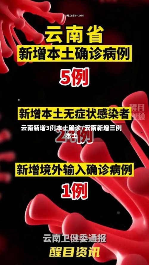 云南新增3例本土确诊/云南新增三例本土-第2张图片