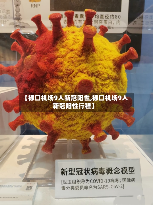 【禄口机场9人新冠阳性,禄口机场9人新冠阳性行程】-第2张图片