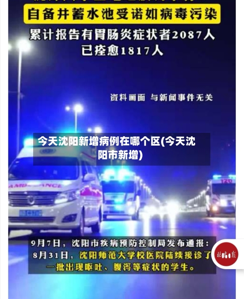 今天沈阳新增病例在哪个区(今天沈阳市新增)-第2张图片