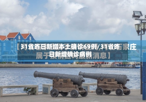 31省昨日新增本土确诊69例/31省昨日新增确诊病例