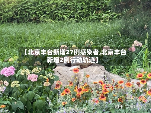 【北京丰台新增27例感染者,北京丰台新增2例行动轨迹】