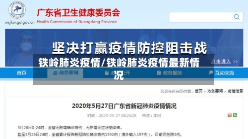 铁岭肺炎疫情/铁岭肺炎疫情最新情况-第3张图片