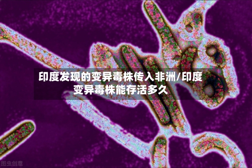 印度发现的变异毒株传入非洲/印度变异毒株能存活多久-第2张图片
