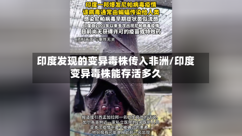 印度发现的变异毒株传入非洲/印度变异毒株能存活多久-第3张图片