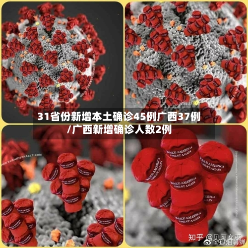 31省份新增本土确诊45例广西37例/广西新增确诊人数2例