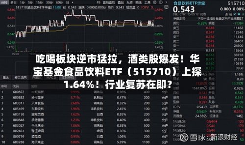 吃喝板块逆市猛拉，酒类股爆发！华宝基金食品饮料ETF（515710）上探1.64%！行业复苏在即？-第3张图片