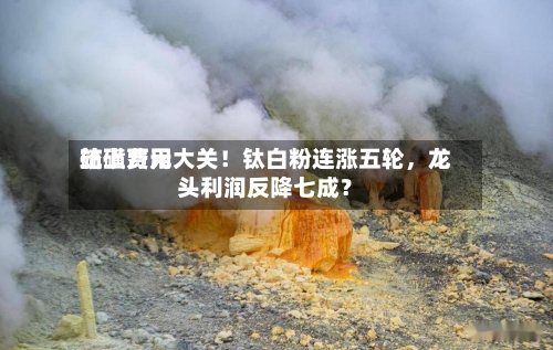 硫磺费用站上万元大关！钛白粉连涨五轮，龙头利润反降七成？-第2张图片