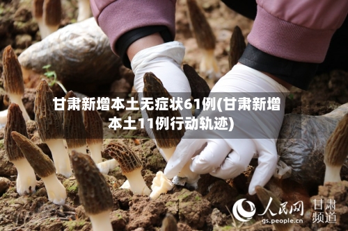 甘肃新增本土无症状61例(甘肃新增本土11例行动轨迹)