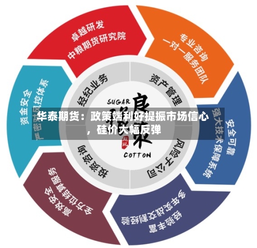 华泰期货：政策端利好提振市场信心，硅价大幅反弹-第3张图片