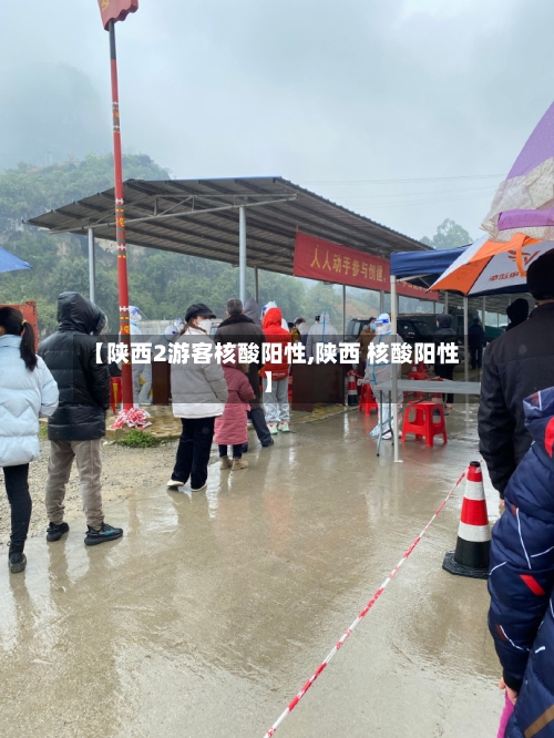 【陕西2游客核酸阳性,陕西 核酸阳性】-第3张图片