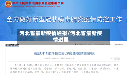 河北省最新疫情通报/河北省最新疫情进展