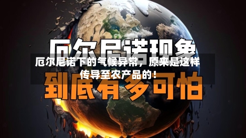 厄尔尼诺下的气候异常	，原来是这样传导至农产品的！-第2张图片