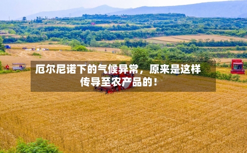 厄尔尼诺下的气候异常,原来是这样传导至农产品的!