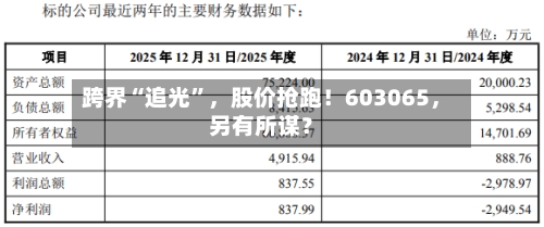 跨界“追光”	，股价抢跑！603065，另有所谋？-第3张图片