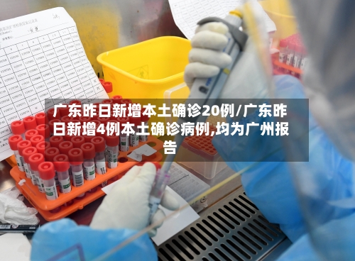 广东昨日新增本土确诊20例/广东昨日新增4例本土确诊病例,均为广州报告