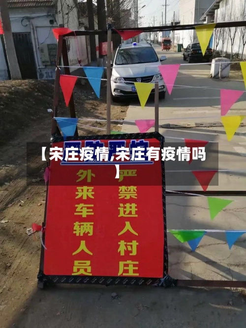【宋庄疫情,宋庄有疫情吗】-第2张图片