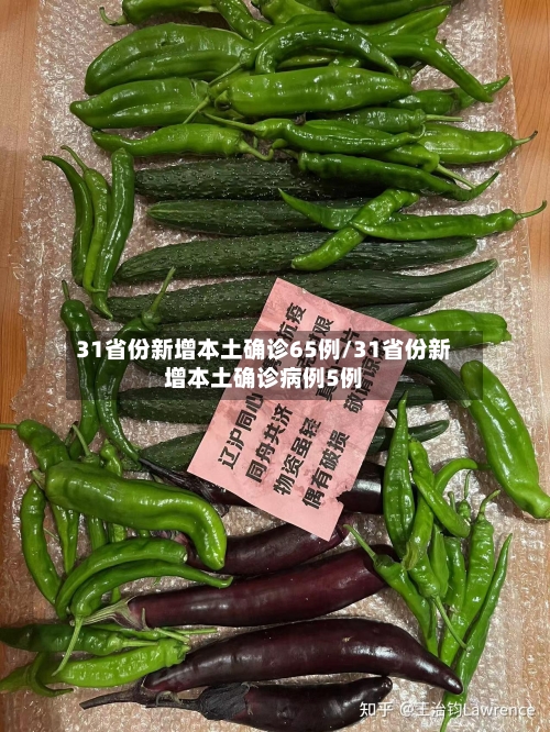 31省份新增本土确诊65例/31省份新增本土确诊病例5例