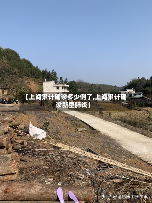 【上海累计确诊多少例了,上海累计确诊新型肺炎】