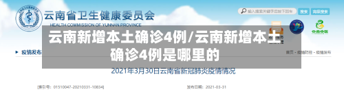 云南新增本土确诊4例/云南新增本土确诊4例是哪里的