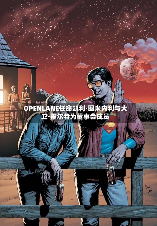 OPENLANE任命凯利·图米内利与大卫·霍尔特为董事会成员-第3张图片