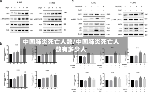 中国肺炎死亡人数/中国肺炎死亡人数有多少人
