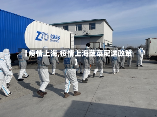 【疫情上海,疫情上海蔬菜配送政策】-第2张图片