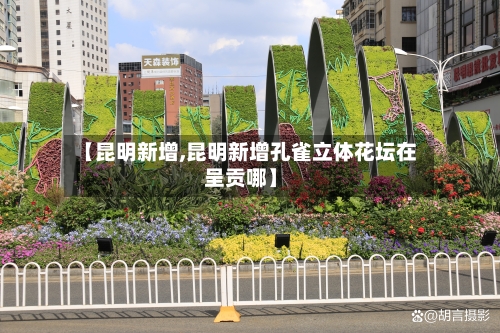 【昆明新增,昆明新增孔雀立体花坛在呈贡哪】-第2张图片