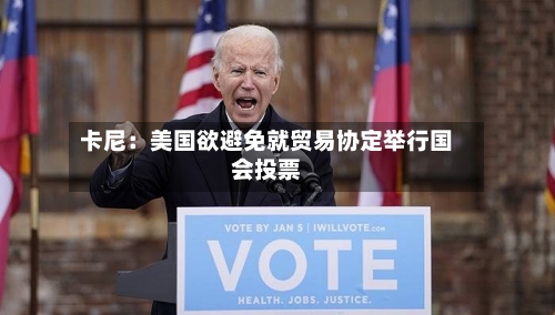 卡尼:美国欲避免就贸易协定举行国会投票-第2张图片