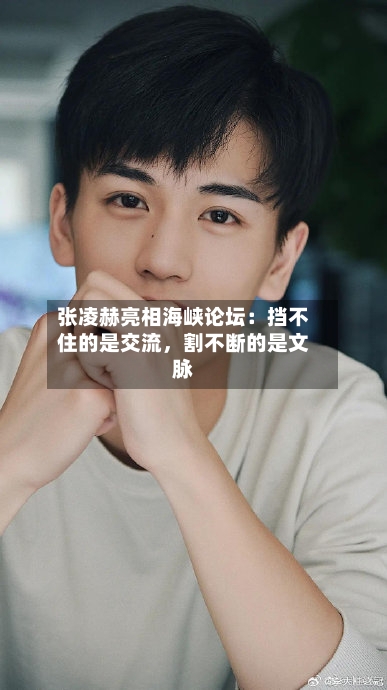 张凌赫亮相海峡论坛:挡不住的是交流,割不断的是文脉