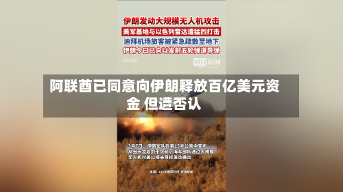 阿联酋已同意向伊朗释放百亿美元资金 但遭否认