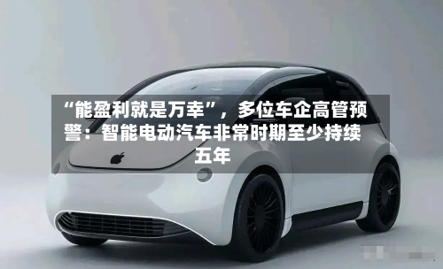 “能盈利就是万幸”，多位车企高管预警：智能电动汽车非常时期至少持续五年-第3张图片