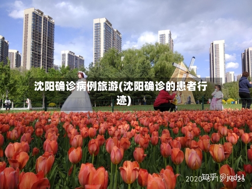 沈阳确诊病例旅游(沈阳确诊的患者行迹)